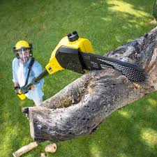 Best Lawn Watering Services  in Bluffton, IN