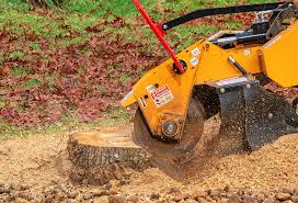 Best Tree and Shrub Care  in Bluffton, IN